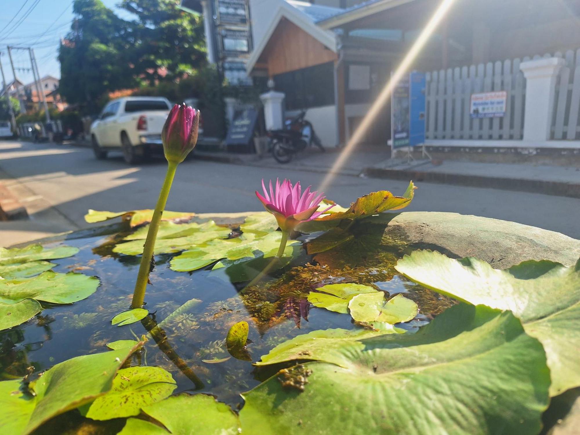 Villa Khounsok Sunset لوانغ برابانغ المظهر الخارجي الصورة